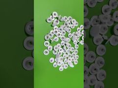 Garment Security Tag